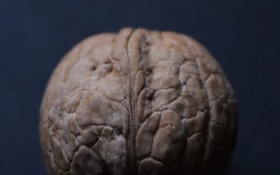 a close up of a walnut on a black surface