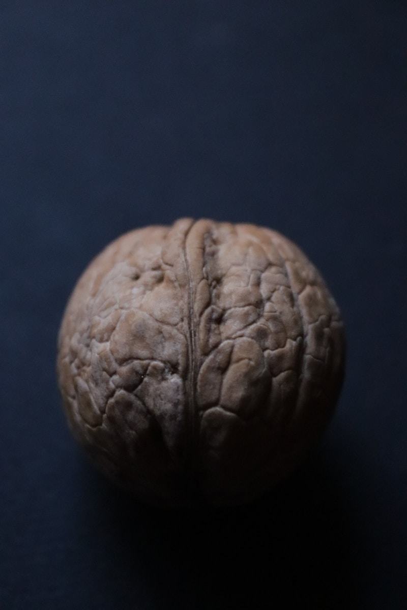 The Rise of AI-First SaaS Platforms - Exquisite Software